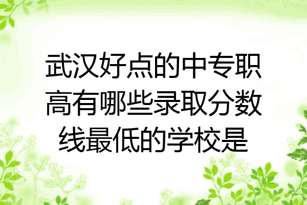 武汉好点的中专职高有哪些录取分数线最低的学校是