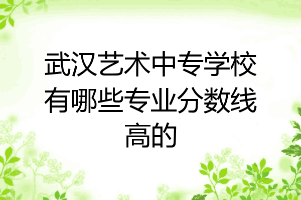 武汉艺术中专学校有哪些专业分数线高的
