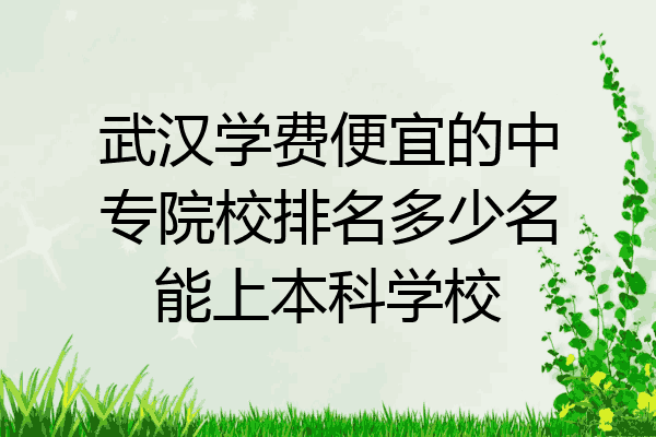 武汉学费便宜的中专院校排名多少名能上本科学校