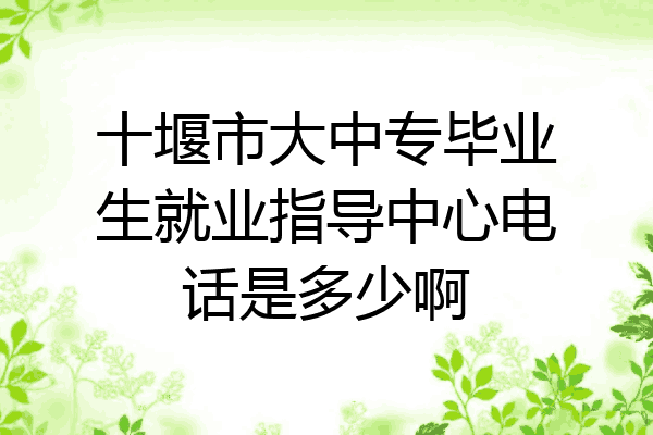 十堰市大中专毕业生就业指导中心电话是多少啊