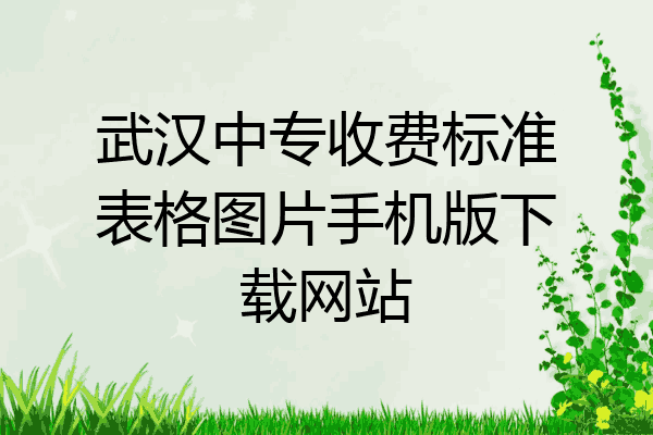武汉中专收费标准表格图片手机版下载网站