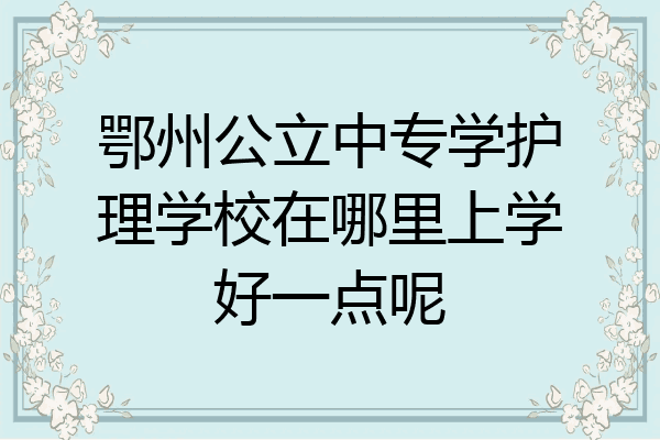 鄂州公立中专学护理学校在哪里上学好一点呢