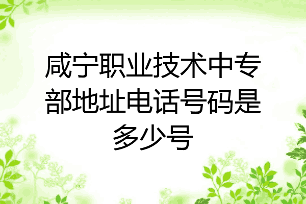 咸宁职业技术中专部地址电话号码是多少号