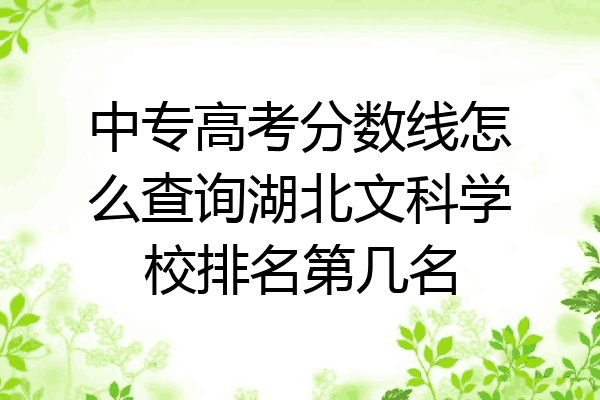 中专高考分数线怎么查询湖北文科学校排名第几名
