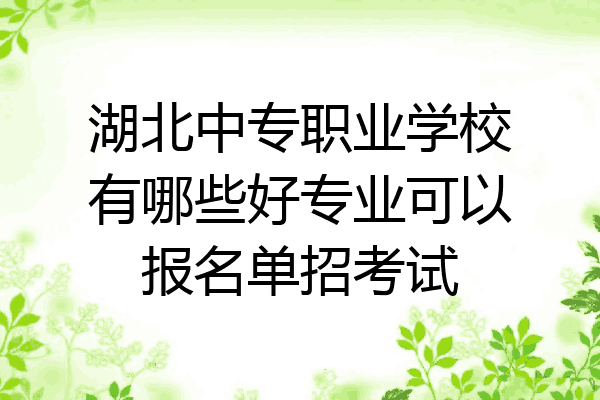 湖北中专职业学校有哪些好专业可以报名单招考试