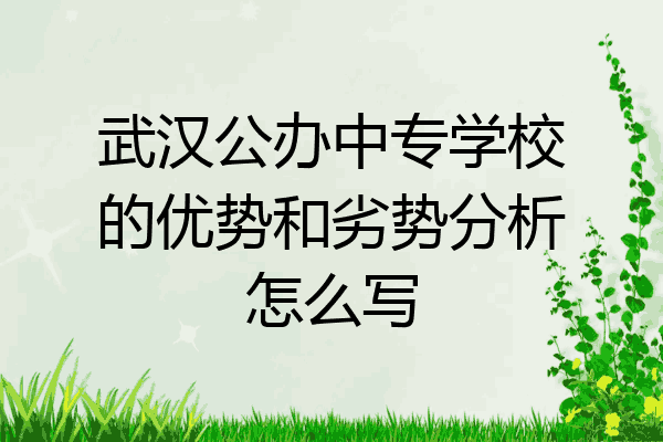 武汉公办中专学校的优势和劣势分析怎么写