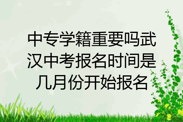 中专学籍重要吗武汉中考报名时间是几月份开始报名