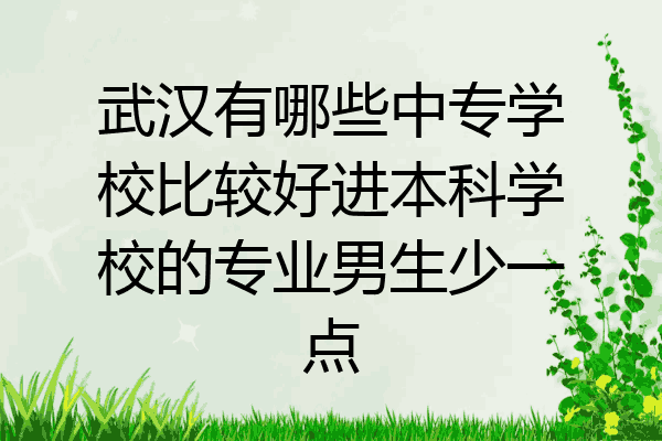 武汉有哪些中专学校比较好进本科学校的专业男生少一点