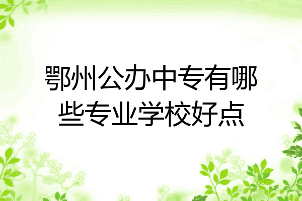 鄂州公办中专有哪些专业学校好点
