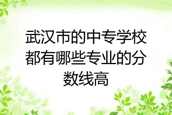 武汉市的中专学校都有哪些专业的分数线高