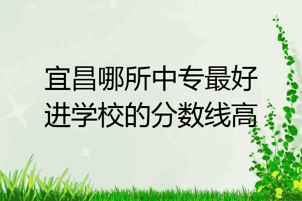 宜昌哪所中专最好进学校的分数线高