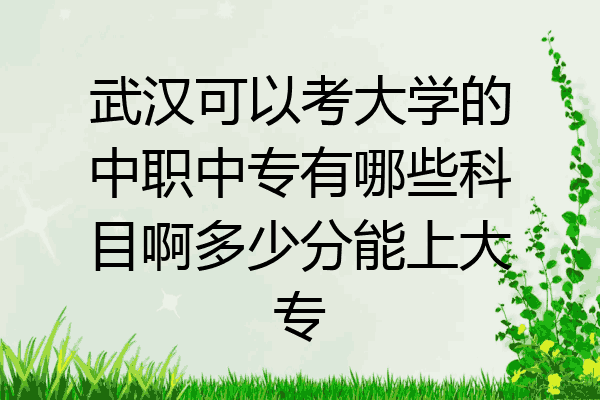 武汉可以考大学的中职中专有哪些科目啊多少分能上大专