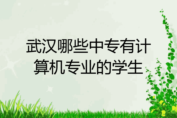 武汉哪些中专有计算机专业的学生