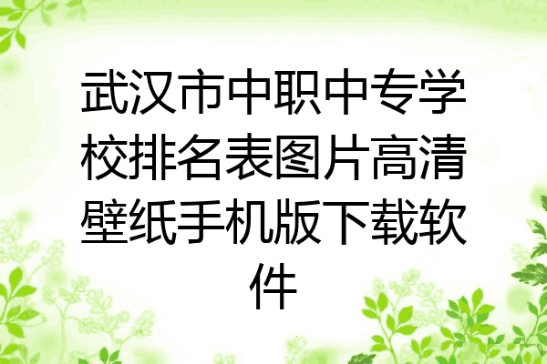 武汉市中职中专学校排名表图片高清壁纸手机版下载软件