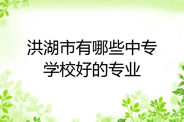 洪湖市有哪些中专学校好的专业
