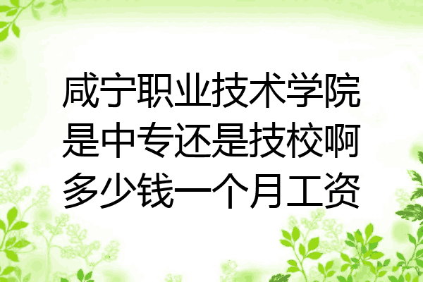 咸宁职业技术学院是中专还是技校啊多少钱一个月工资