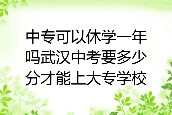 中专可以休学一年吗武汉中考要多少分才能上大专学校