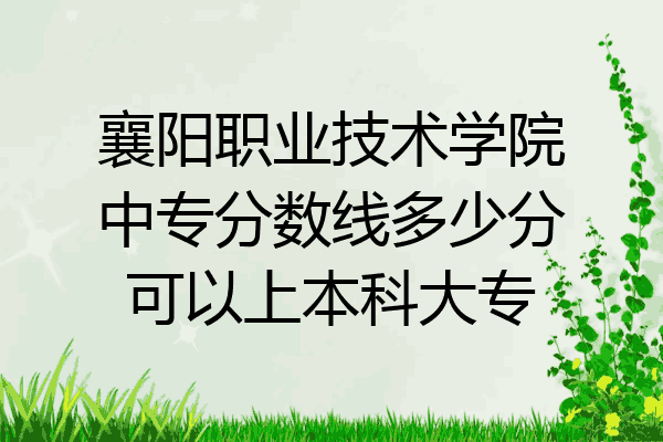 襄阳职业技术学院中专分数线多少分可以上本科大专