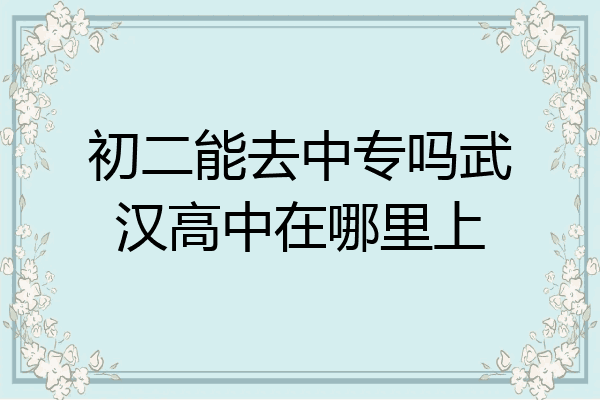 初二能去中专吗武汉高中在哪里上
