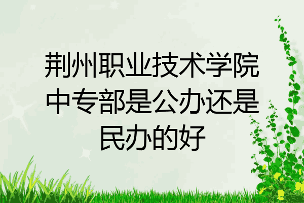 荆州职业技术学院中专部是公办还是民办的好