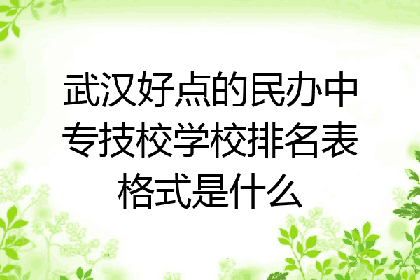 武汉好点的民办中专技校学校排名表格式是什么