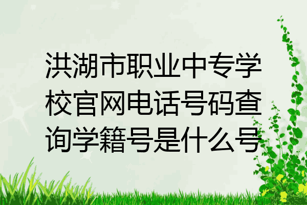 洪湖市职业中专学校官网电话号码查询学籍号是什么号