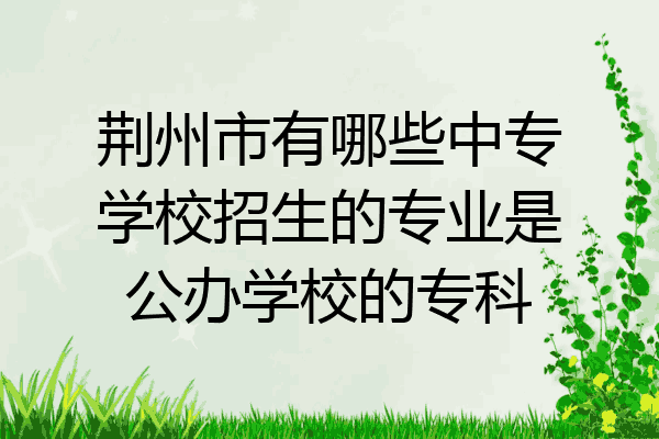 荆州市有哪些中专学校招生的专业是公办学校的专科