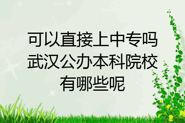 可以直接上中专吗武汉公办本科院校有哪些呢