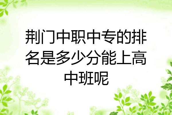 荆门中职中专的排名是多少分能上高中班呢