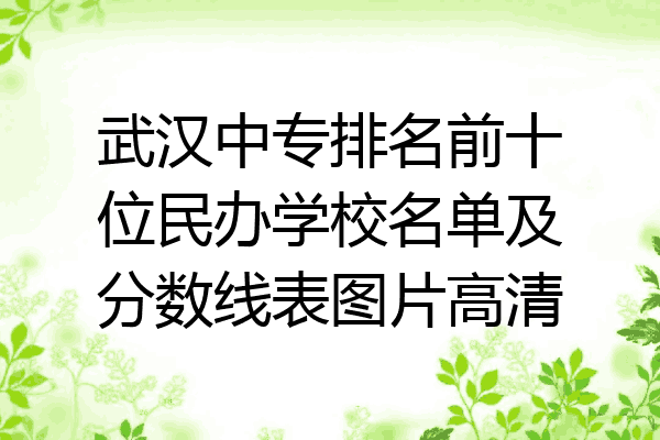 武汉中专排名前十位民办学校名单及分数线表图片高清