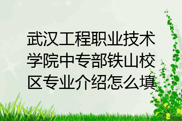 武汉工程职业技术学院中专部铁山校区专业介绍怎么填