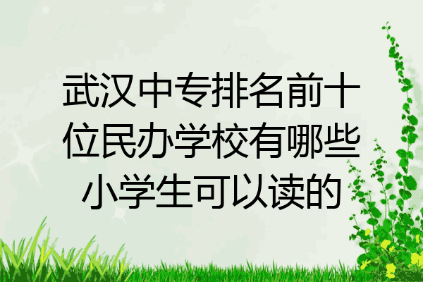 武汉中专排名前十位民办学校有哪些小学生可以读的