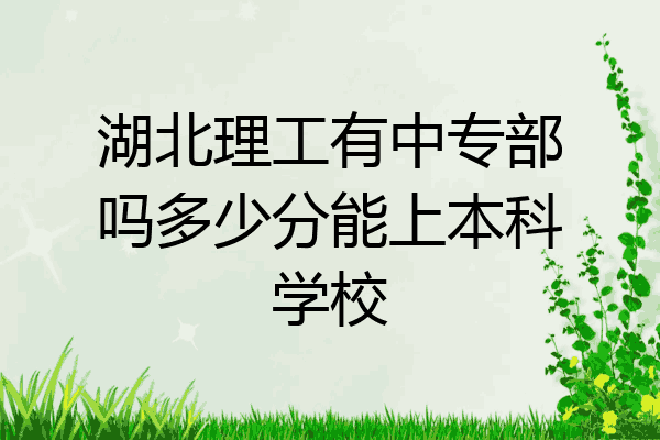 湖北理工有中专部吗多少分能上本科学校