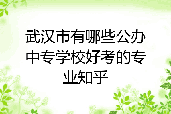 武汉市有哪些公办中专学校好考的专业知乎
