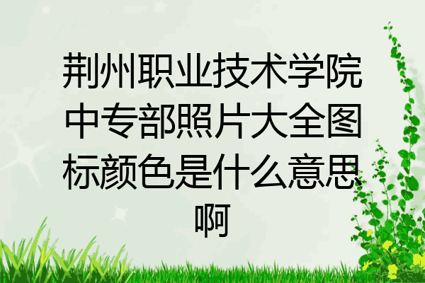 荆州职业技术学院中专部照片大全图标颜色是什么意思啊