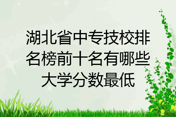 湖北省中专技校排名榜前十名有哪些大学分数最低