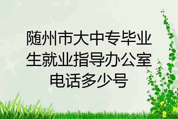 随州市大中专毕业生就业指导办公室电话多少号