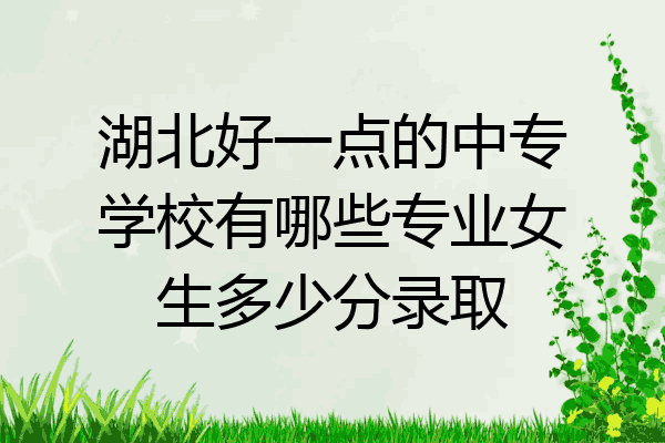 湖北好一点的中专学校有哪些专业女生多少分录取