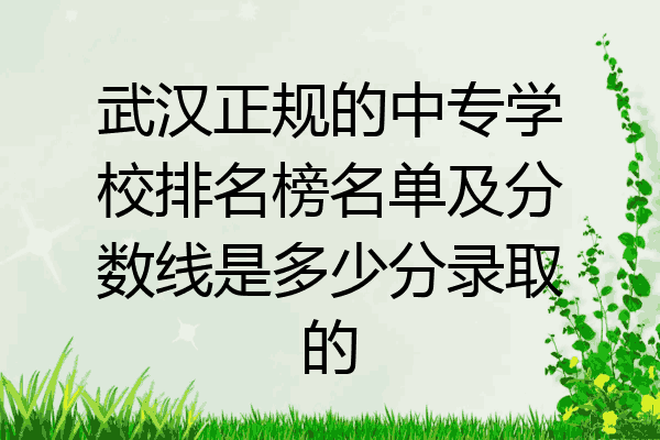 武汉正规的中专学校排名榜名单及分数线是多少分录取的