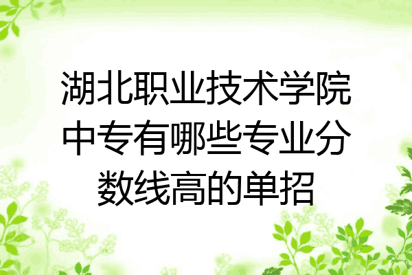 湖北职业技术学院中专有哪些专业分数线高的单招