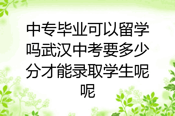 中专毕业可以留学吗武汉中考要多少分才能录取学生呢呢