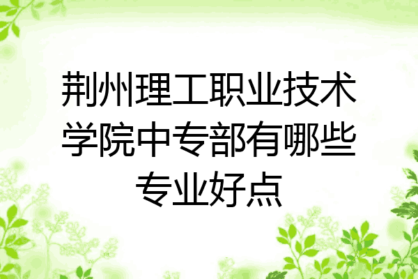 荆州理工职业技术学院中专部有哪些专业好点