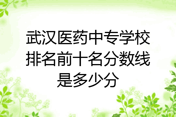 武汉医药中专学校排名前十名分数线是多少分