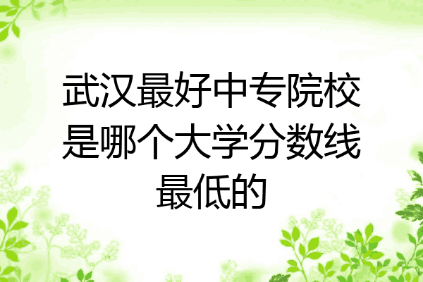 武汉最好中专院校是哪个大学分数线最低的
