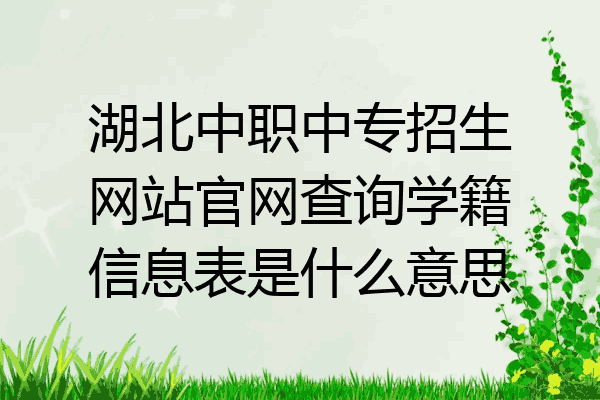 湖北中职中专招生网站官网查询学籍信息表是什么意思