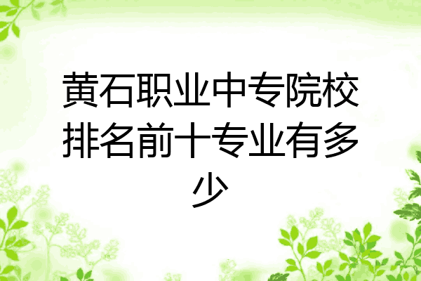 黄石职业中专院校排名前十专业有多少