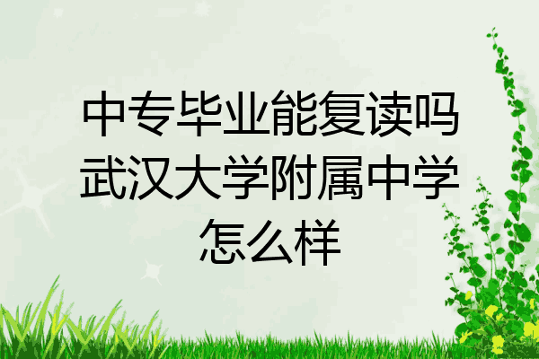 中专毕业能复读吗武汉大学附属中学怎么样