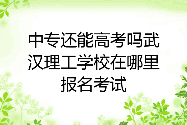 中专还能高考吗武汉理工学校在哪里报名考试