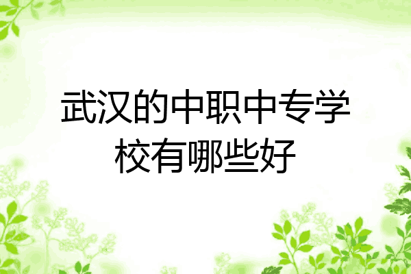 武汉的中职中专学校有哪些好