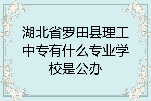 湖北省罗田县理工中专有什么专业学校是公办
